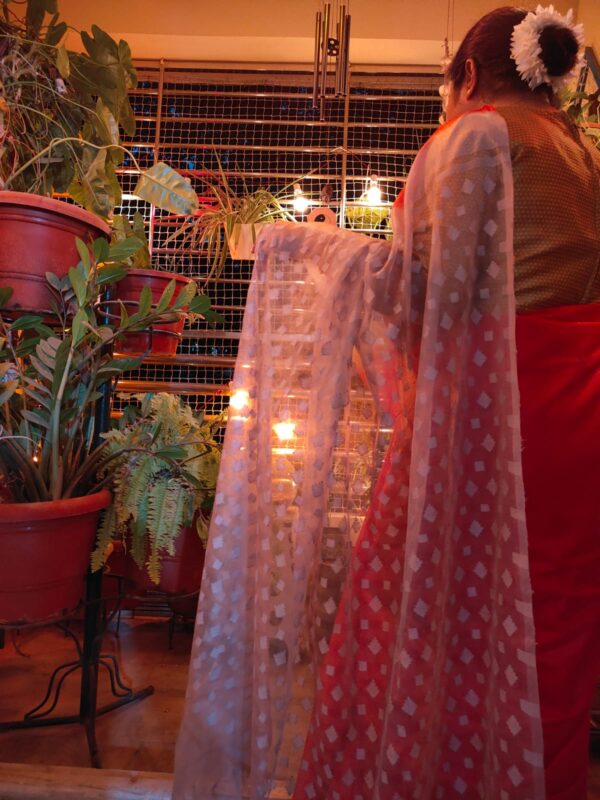 Red Soft Silk Saree with Grey Sheer Palla
