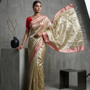 Beige Raaga Tissue Saree with Contrast Border