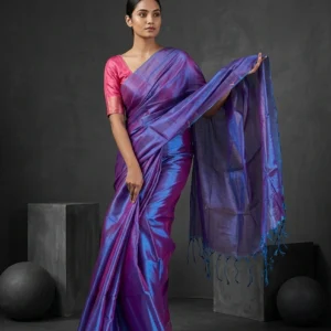 Blue Raaga Tissue Saree