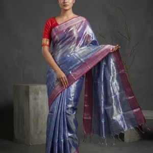Blue Raaga Tissue Saree with Contrast Border