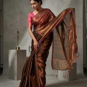 Brown Raaga Tissue Saree