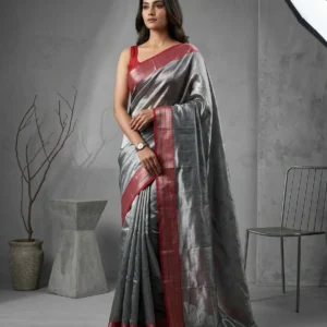 Grey Raaga Tissue Saree with Contrast Border