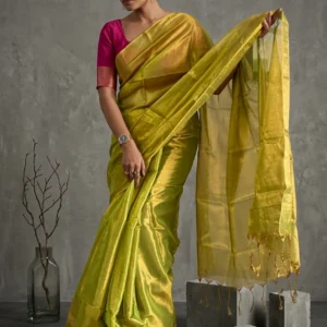 Lime Green Raaga Tissue Saree