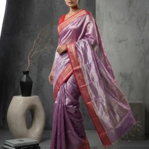 Violet Raaga Tissue Saree with Contrast Border